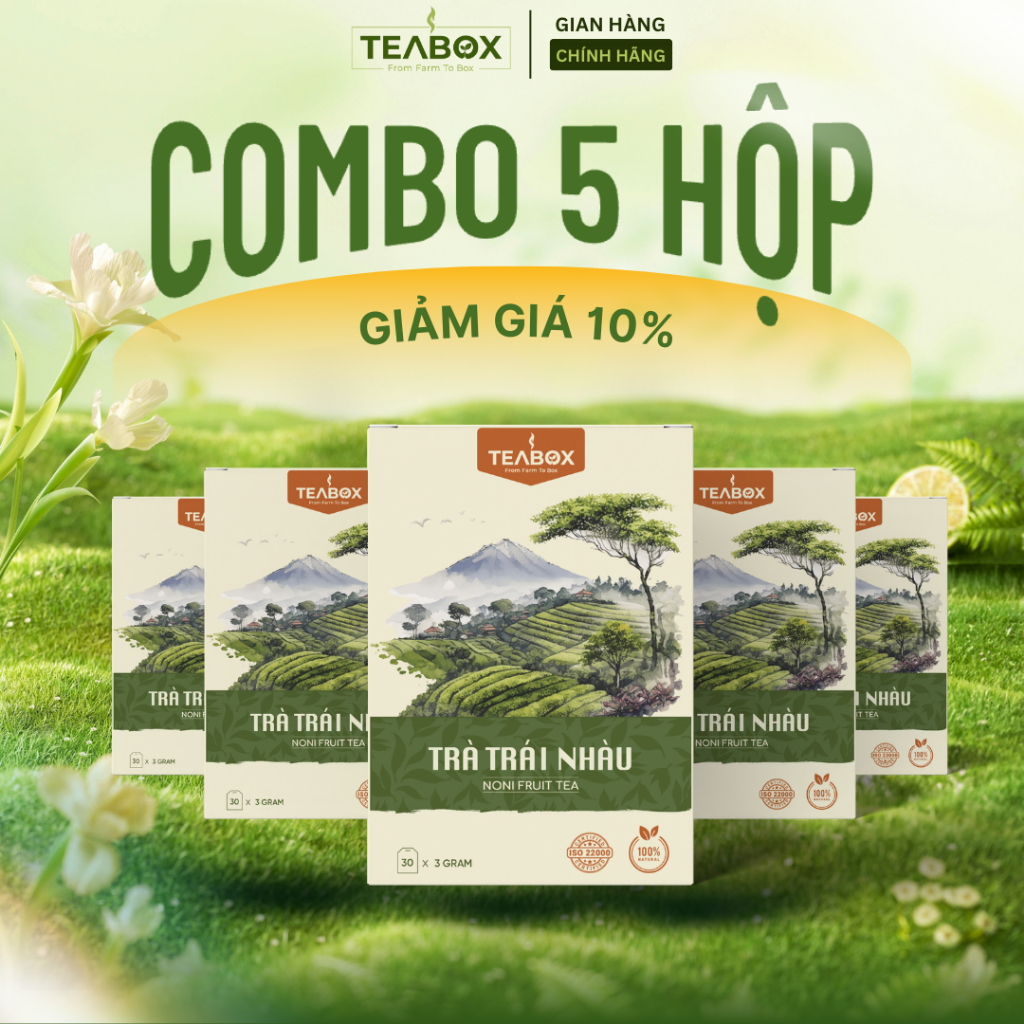 [COMBO 5 HỘP] Trà Trái Nhàu TEABOX Tốt Cho Sức Khoẻ Hộp 30 Túi Lọc Tem Chỉ x 3g Tiêu Chuẩn ISO 22000