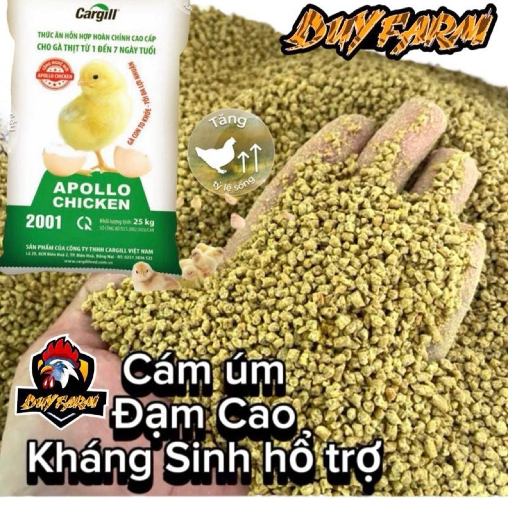 5Kg Cam siêu đạm dành úm gà con hàm lượng đạm 23,5% cao đạm của Cagrill