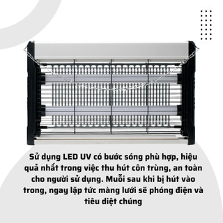 Đèn bắt muỗi Rạng Đông Model: DBM01 5W - DBM02 4W