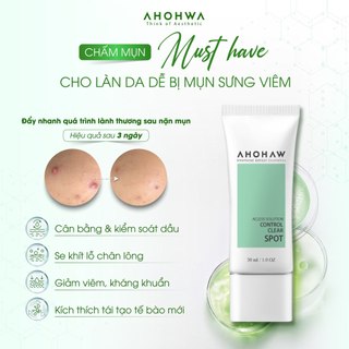Tinh Chất Chấm Mụn Ahohwa Control Clear Spot 30ml