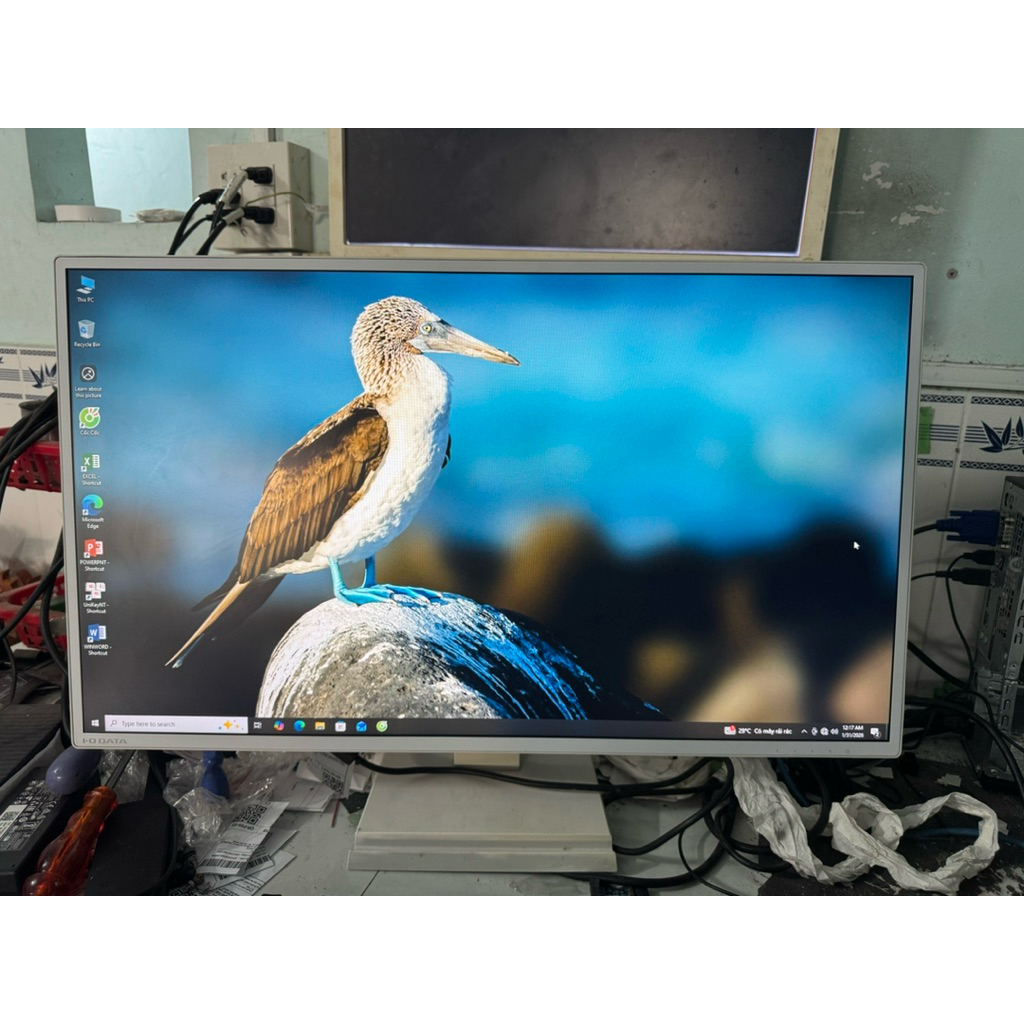 màn hình 27 inch iodata full hd vien mong trắng