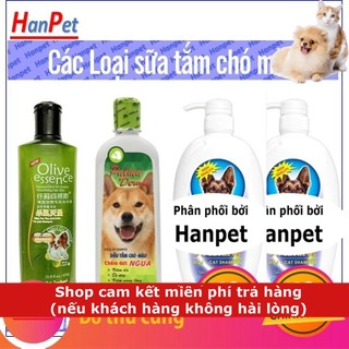Sữa Tắm cho chó mèo có thể dùng làm dầu gội đầu chó