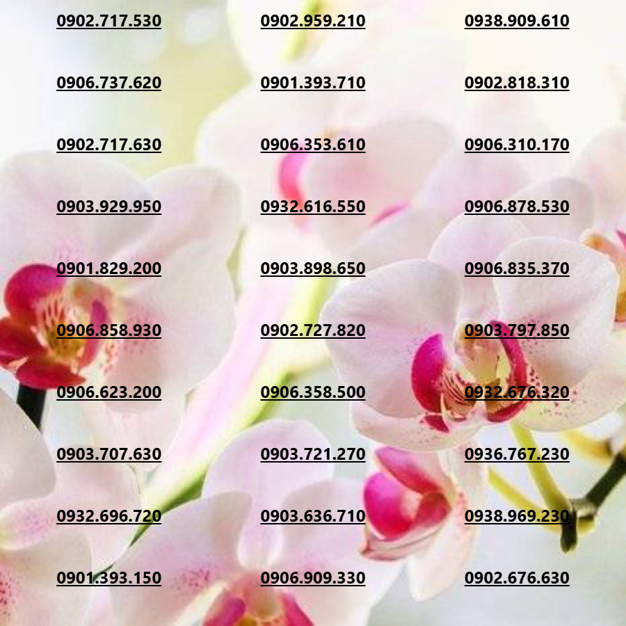 [Hàng Mới Hỗ Trợ Esim] Sim Mobifone Hàng Tuyển Siêu Dễ Nhớ