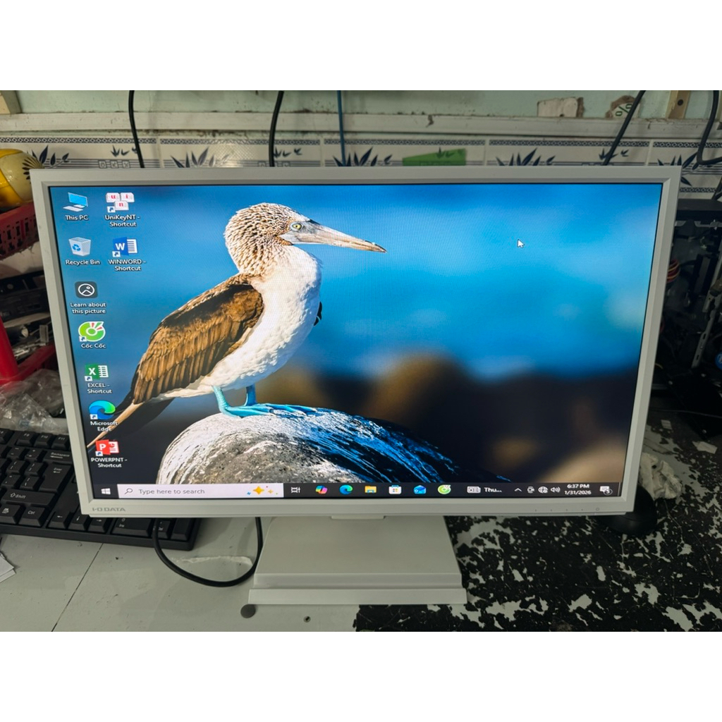 màn hình lcd 22 nich iodata trắng đẹp vien mong