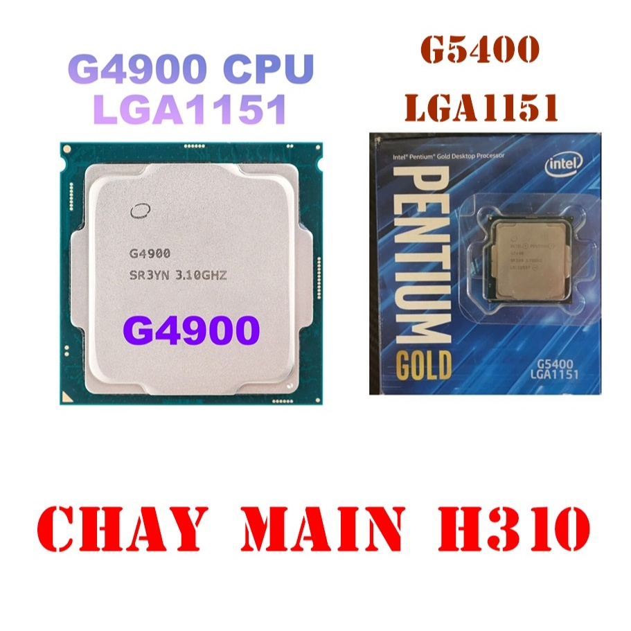 CPU intel gold G4900 G5400 chạy cho main H310