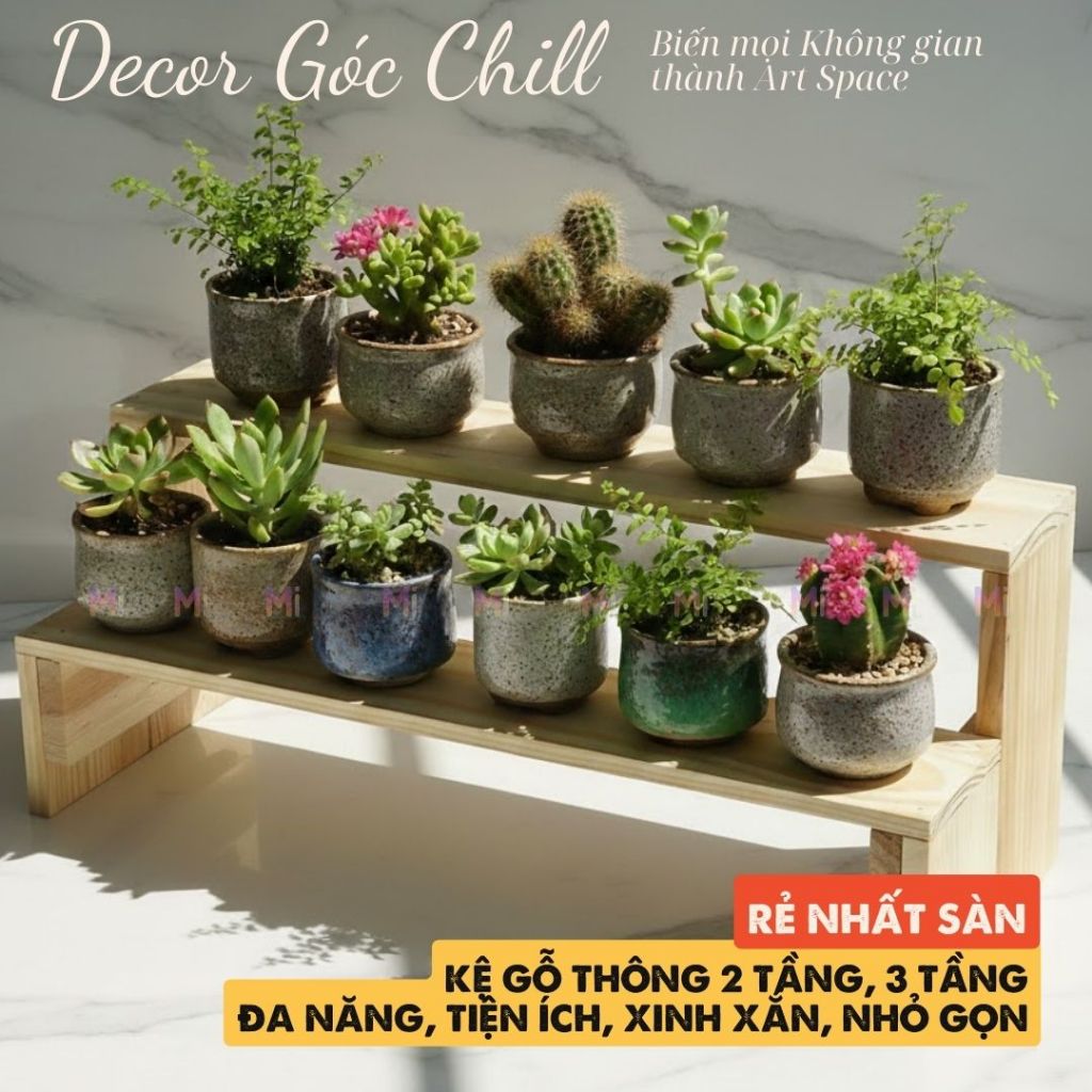 Kệ Gỗ Thông 2 Tầng, 3 Tầng Decor Trang Trí Sen Đá, Tượng, Góc Làm Việc