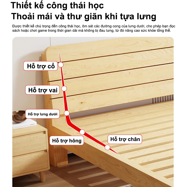 REX Giường pallet gỗ thông đã được xử lí ẩm mốc mối mọi Gỗ mới  nhiên bền đẹp | BigBuy360 - bigbuy360.vn