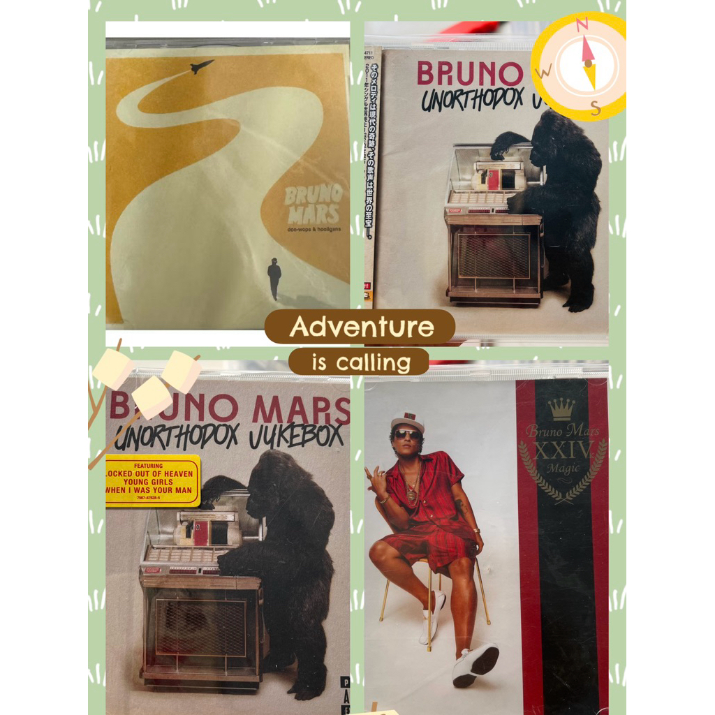 CD đã qua sử dụng - Bruno Mars - Album: doo-wops & holigans (2010)