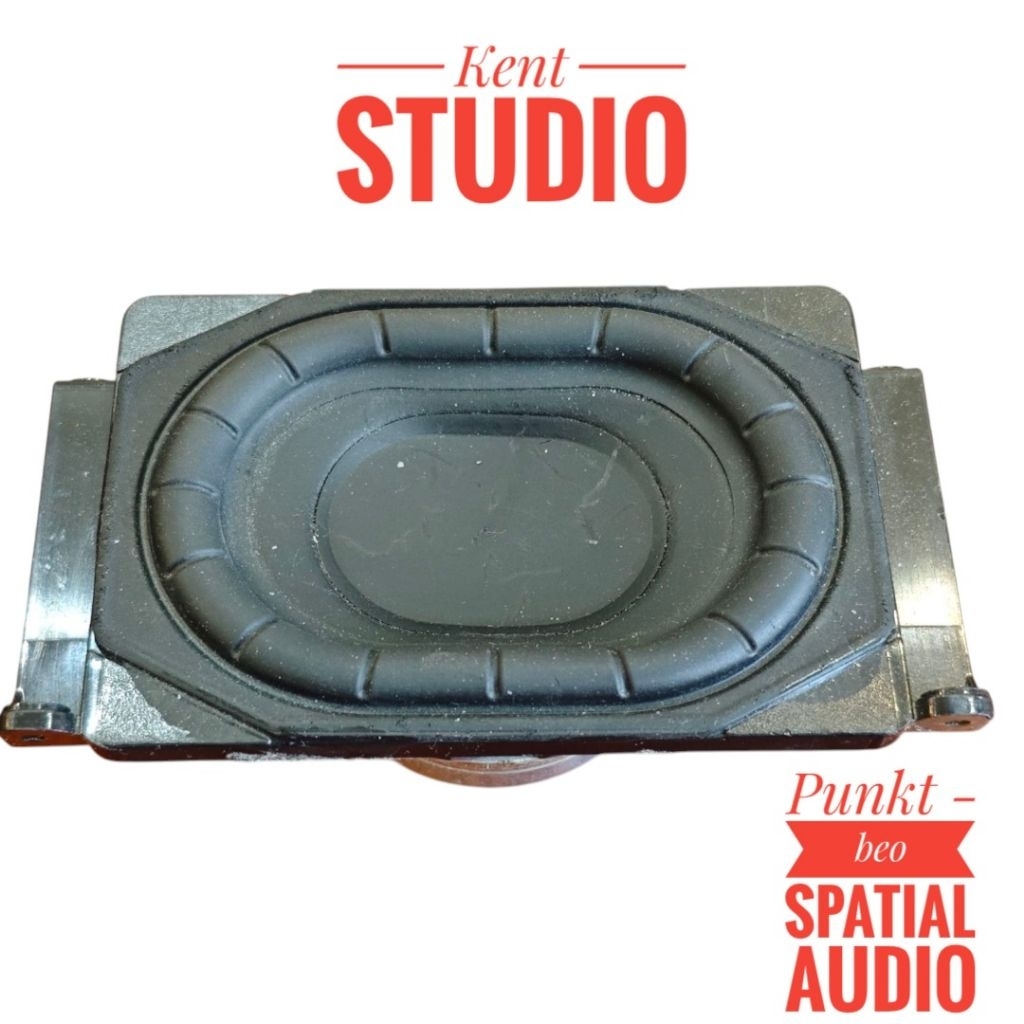 Loa sub bass beo Spatial audio (Punktkilde ) 3ohm 40-50w tháo máy