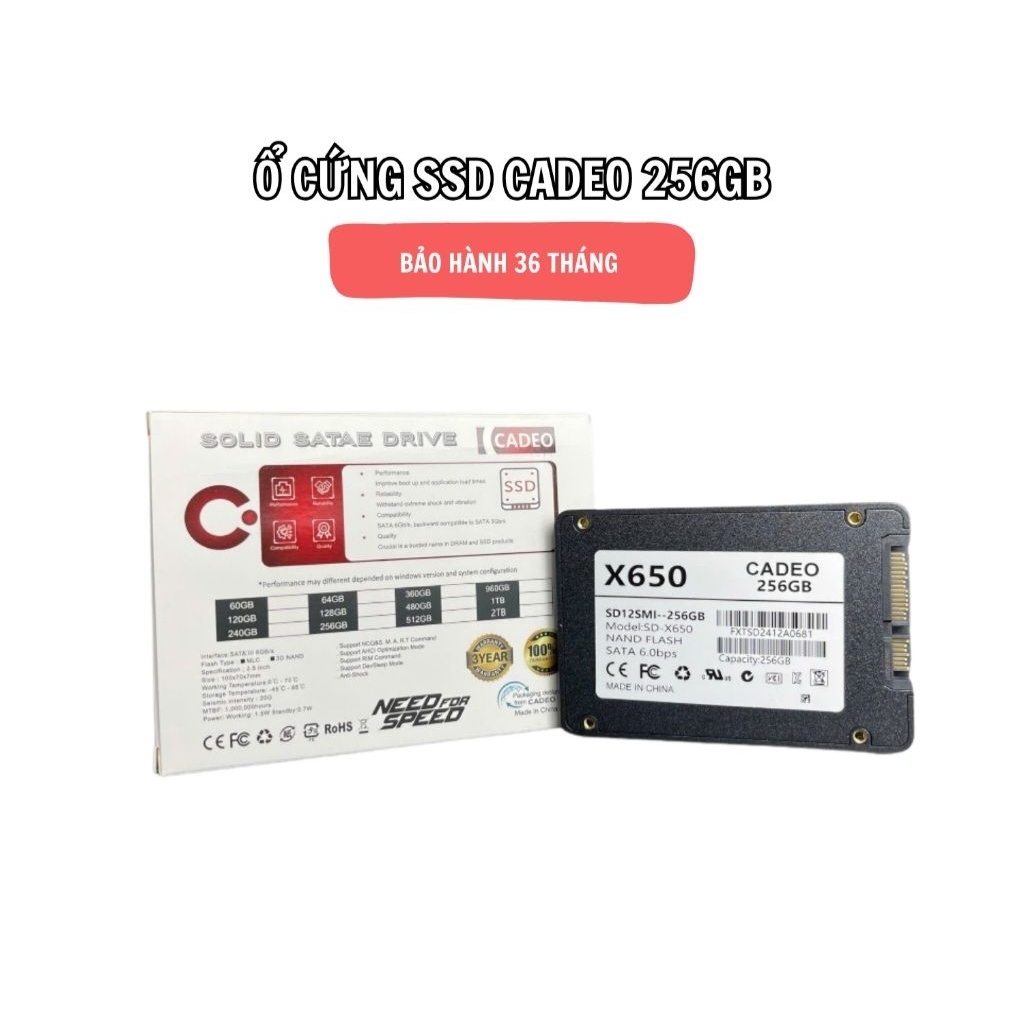 Ổ cứng SSD 256GB 480GB Lexar, Cadeo, Xstar, Dynabook