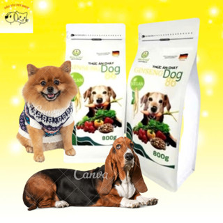 Hạt chay cho chó Windog - Thức ăn chay cao cấp cho chó Gingsen Dog - Hạt cho chó từ thực vật túi 800g