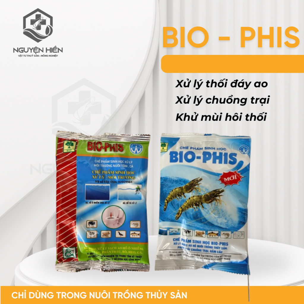 Men Vi Sinh (Men Hầm Cầu) - BIO-PHIS Chuyên Xử Lý Thối Đáy Ao