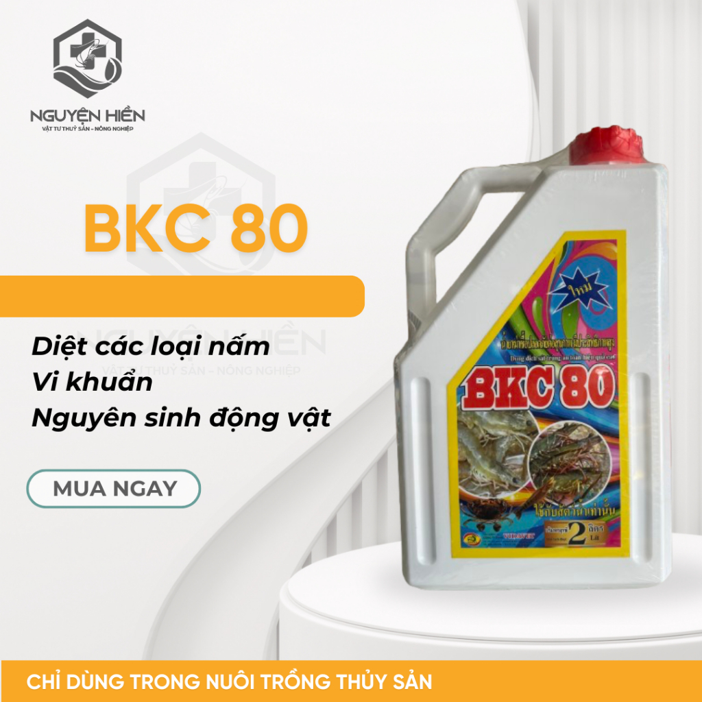 Diệt Khuẩn BKC 2L - Tiêu diệt vi khuẩn, nấm, nguyên sinh động vật.,,,