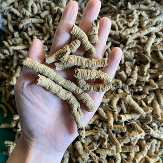 1Kg Củ Ba Kích Tím Khô (Đã Bỏ Lõi) Hỗ Trợ Tăng Cường Sinh Lực, Ngâm Tửu Bồi Bổ Cơ Thể, Dùng Làm Trà