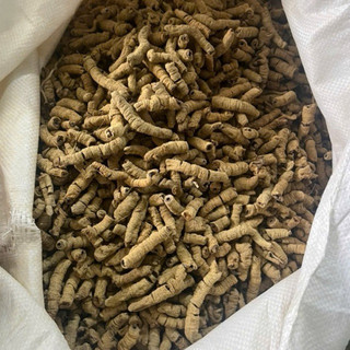 1Kg Củ Ba Kích Tím Khô (Đã Bỏ Lõi) Hỗ Trợ Tăng Cường Sinh Lực, Ngâm Tửu Bồi Bổ Cơ Thể, Dùng Làm Trà