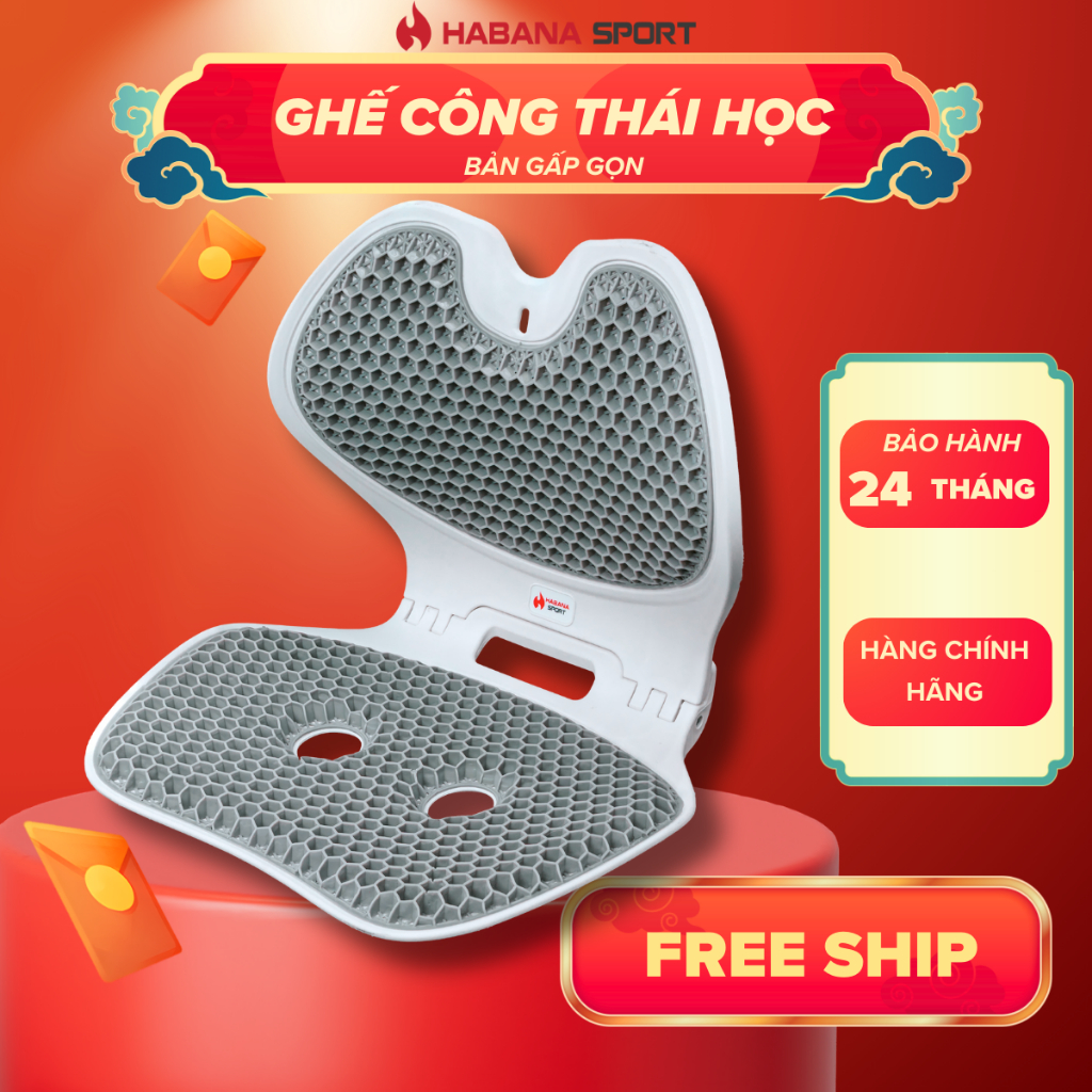 [HABANA SPORT CHÍNH HÃNG] Ghế Chỉnh Dáng Công Thái Học Gấp Gọn EGO HABANA , Hỗ Trợ Tư Thế Ngồi Đúng.