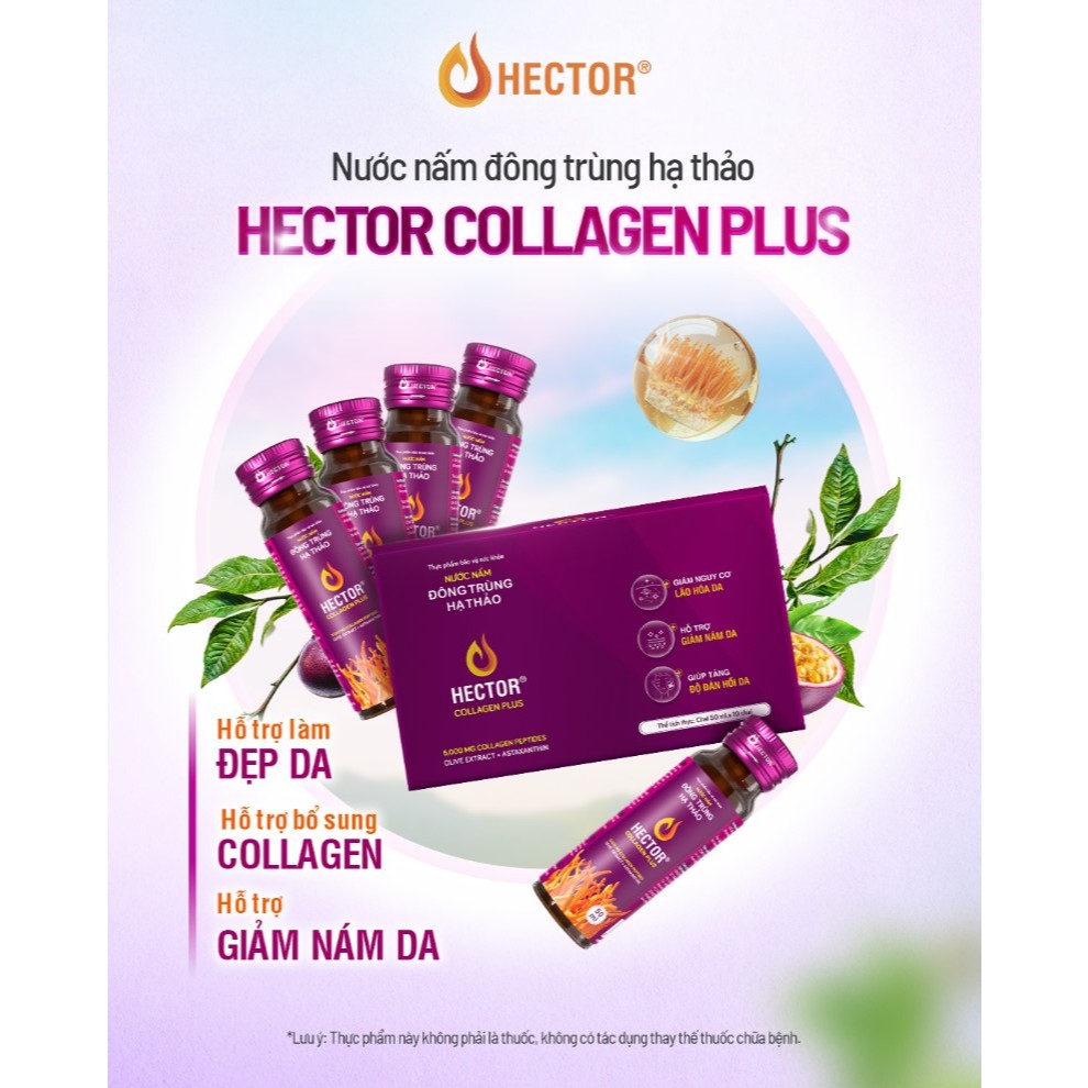 Đông trùng hạ thảo hector collagen plus (Hộp 10 chai) bổ sung collagen giảm nám da, tăng độ đàn hồi