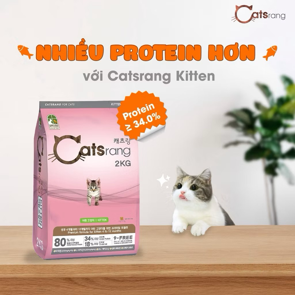 2kg - Catsrang Kitten Cho Mèo Con