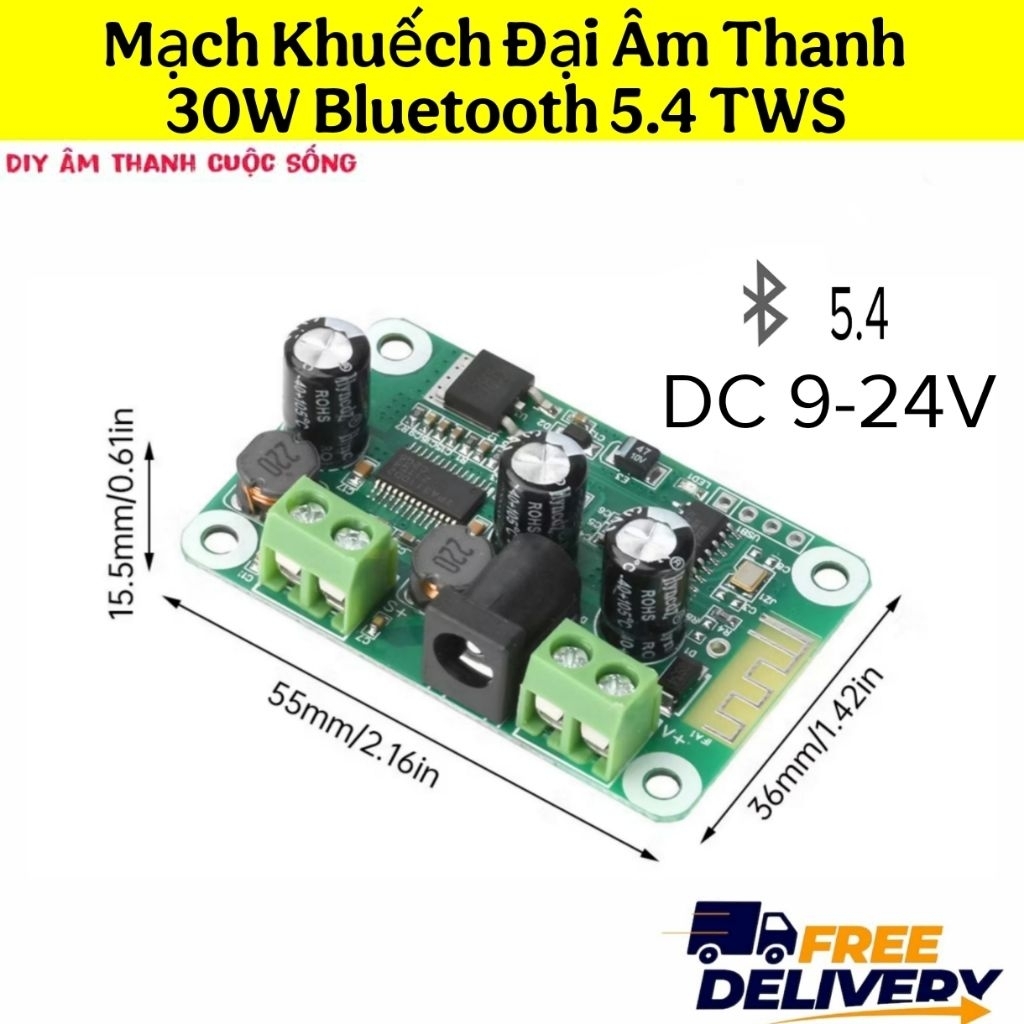 TWS 30W Mạch Khuếch Đại Âm Thanh Bluetooth 5.4 Mono 1 Kênh Loa Diy
