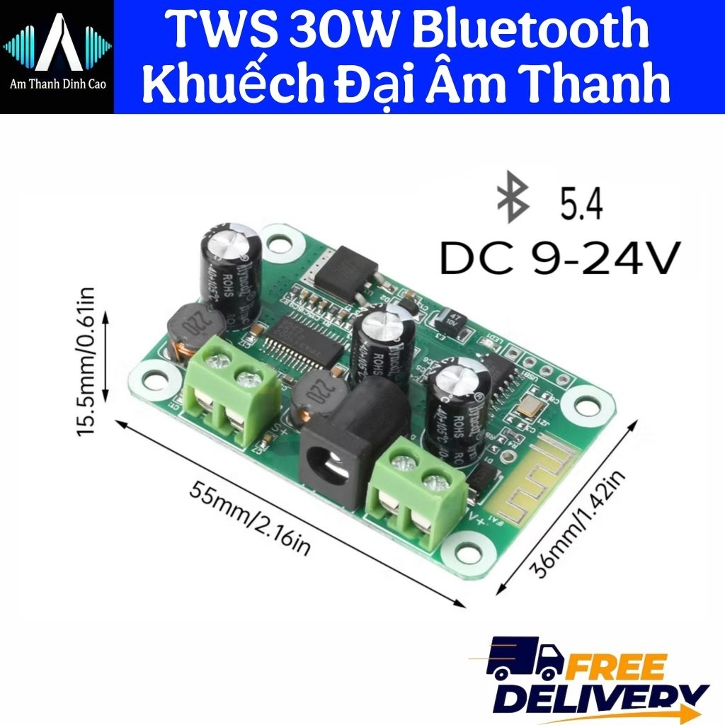 TWS 30W Mạch Khuếch Đại Âm Thanh Bluetooth 5.4 Mono 1 Kênh Loa Diy -