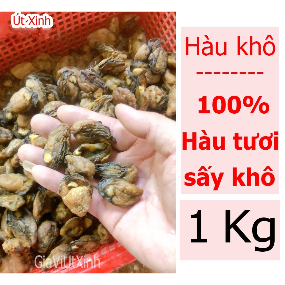 HÀU KHÔ (SIZE ĐẠI) 1KG - HÀU TƯƠI SẤY KHÔ - DRY OYSTERS