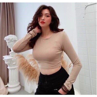 Áo len tăm nữ dài tay nhiều màu cổ tròn dáng ôm basic