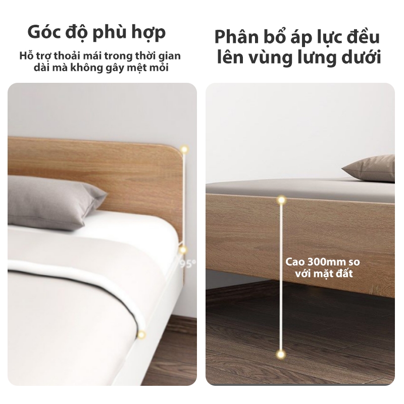 REX Giường Gỗ Tự Nhiên Giường Ngủ Đôi Gỗ An Vạt Gỗ Tự Nhiên Dày Dặn An Toàn Không Mùi Chống Mối Mọt | BigBuy360 - bigbuy360.vn