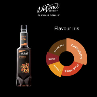 Siro Hương Spiced Chai / Spiced Chai Syrup - DaVinci Gourmet (750ml)