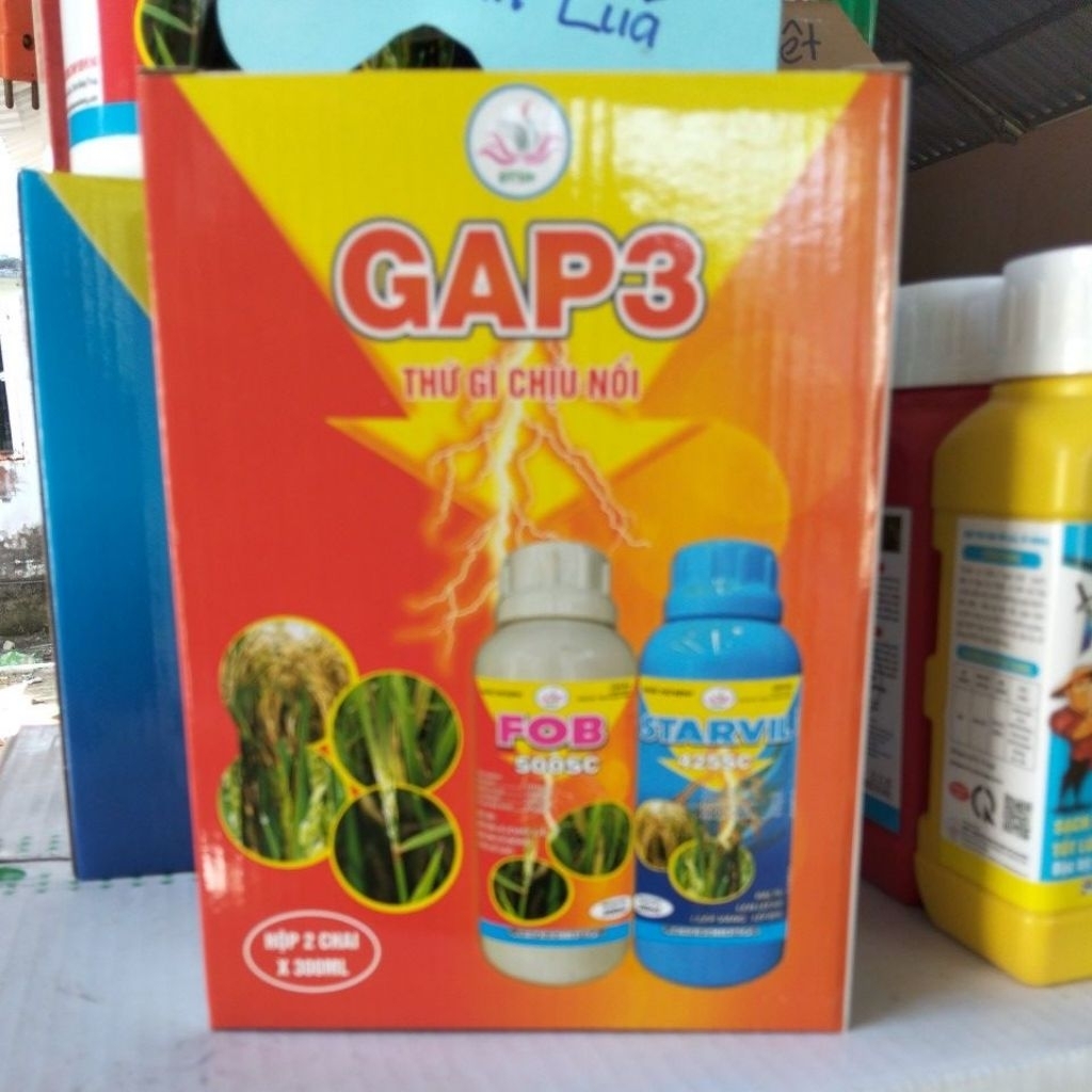 GAP3 ĐẠO ÔN VI KHUẨN HÀNG CHÍNH HÃNG CÔNG TY ĐỒNG THÁP SEN HỒNG