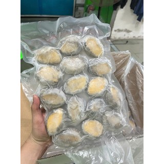 Bào Ngư size 20 - 24 con 1kg net 6 Hàng Chất Lượng (tphcm hỏa tốc)