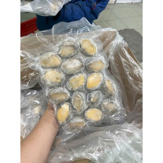 Bào Ngư 1kg net 5 size 16 - 20  con  (hỏa tốc tphcm)