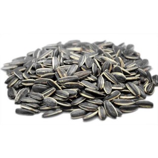 Hạt hướng dương 500gr cho thú cưng