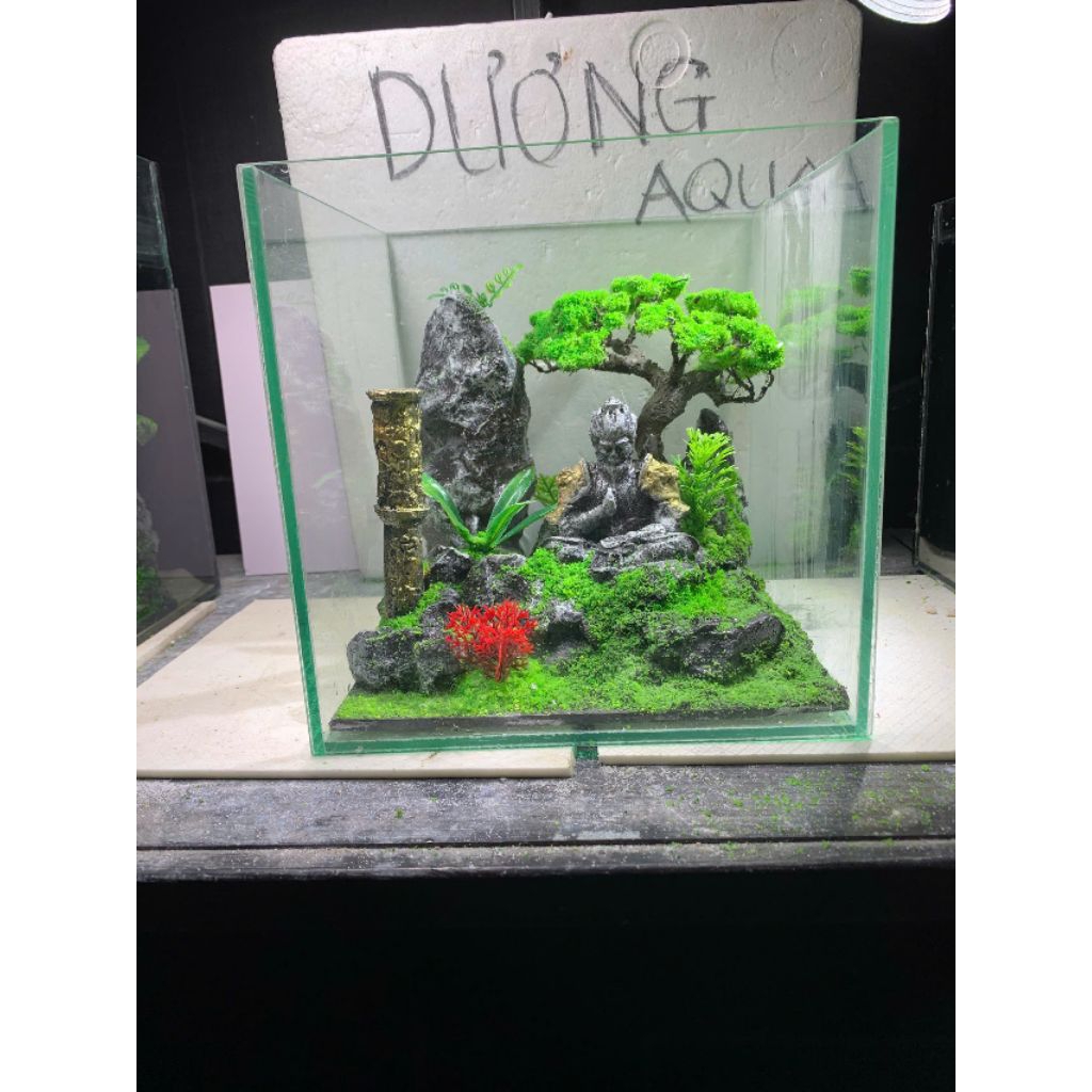 bể cá mini cubic 20 kèm layout ngộ ko