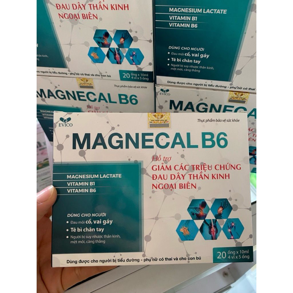 MAGNECAL B6 ( Magie B6)