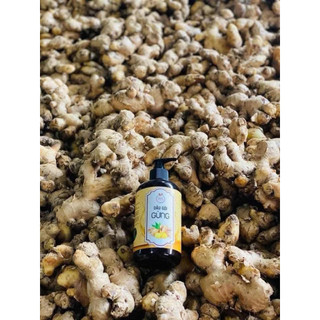 Dầu gội đầu thảo dược oganic