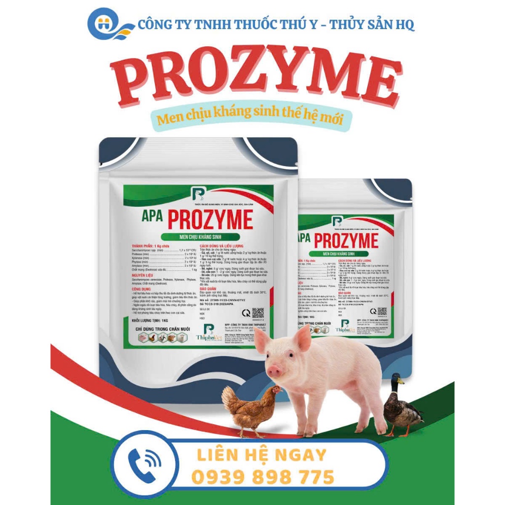 PROZYME Men chịu kháng sinh thế hệ mới