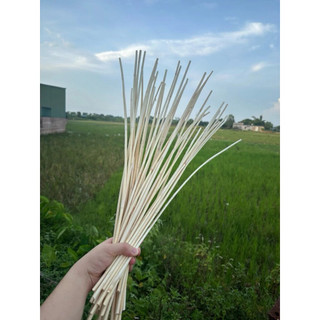 Combo 5 Que Mây Dẻo Dai Dài 80cm