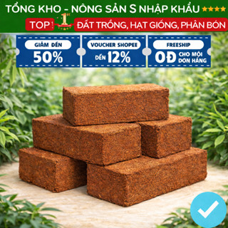 (10 Viên) Đất Trồng Cây Viên Đất Nén Xơ Dừa Bổ Sung Dinh Dưỡng Tốt Cho Mọi Loại Tặng 5 Gói Hạt