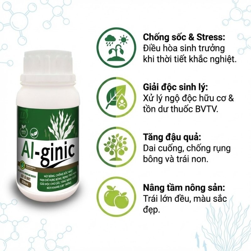 Chiết xuất Tảo biển Al-ginic - Giải độc, mát cây, giảm stress sinh lý cho cây trồng