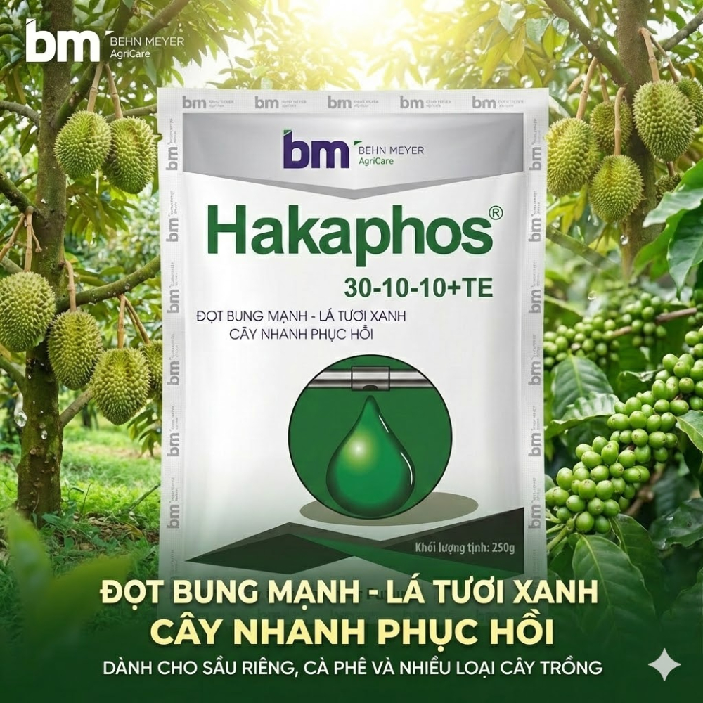 Phân bón lá  30 10 10 BM Hakaphos Đọt bung mạnh , lá tươi xanh , cây nhanh phục hồi