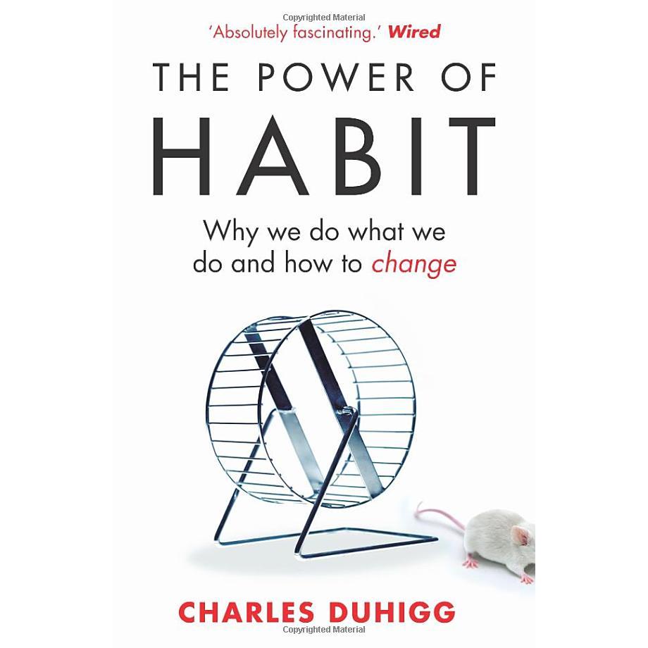 Sách: The Power Of Habit - Paperback