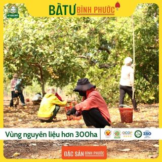 Hạt điều vỏ lụa Bà Tư hộp vuông 400 g