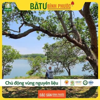 Hạt điều vỏ lụa Bà Tư hộp vuông 400 g
