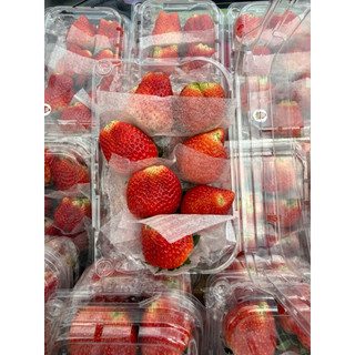Dâu sơn la Vip (500gr kèm muối)có ship hoả tốc