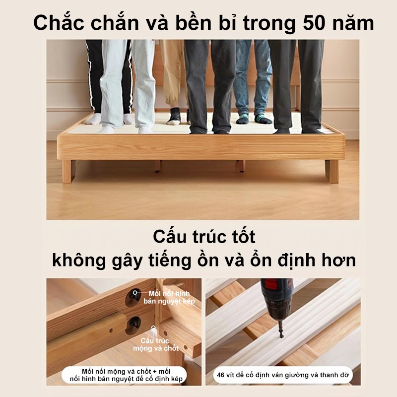 REX Giường pallet gỗ thông đã được xử lí ẩm mốc mối mọi Gỗ mới  nhiên bền đẹp | BigBuy360 - bigbuy360.vn