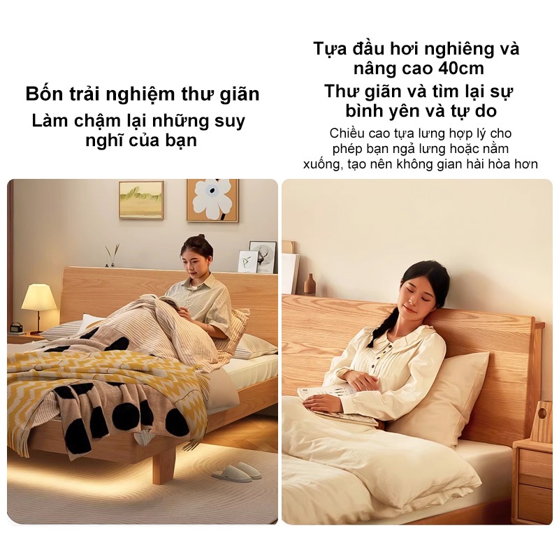 REX Giường pallet gỗ thông đã được xử lí ẩm mốc mối mọi Gỗ mới  nhiên bền đẹp | BigBuy360 - bigbuy360.vn