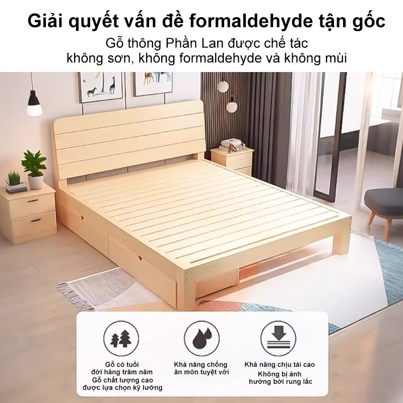 REX Giường pallet gỗ thông đã được xử lí ẩm mốc mối mọi Gỗ mới  nhiên bền đẹp | BigBuy360 - bigbuy360.vn
