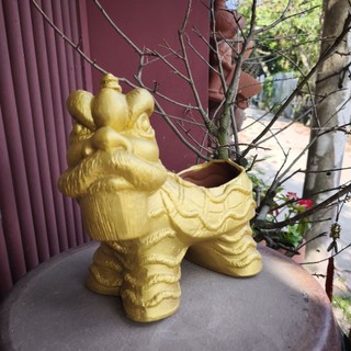 Chậu đất nung - Chậu lân + địa