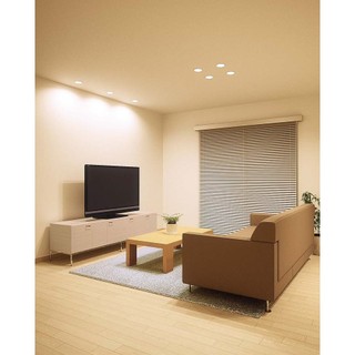 Đèn LED Downlight âm trần ODELIC, Model: WD261015