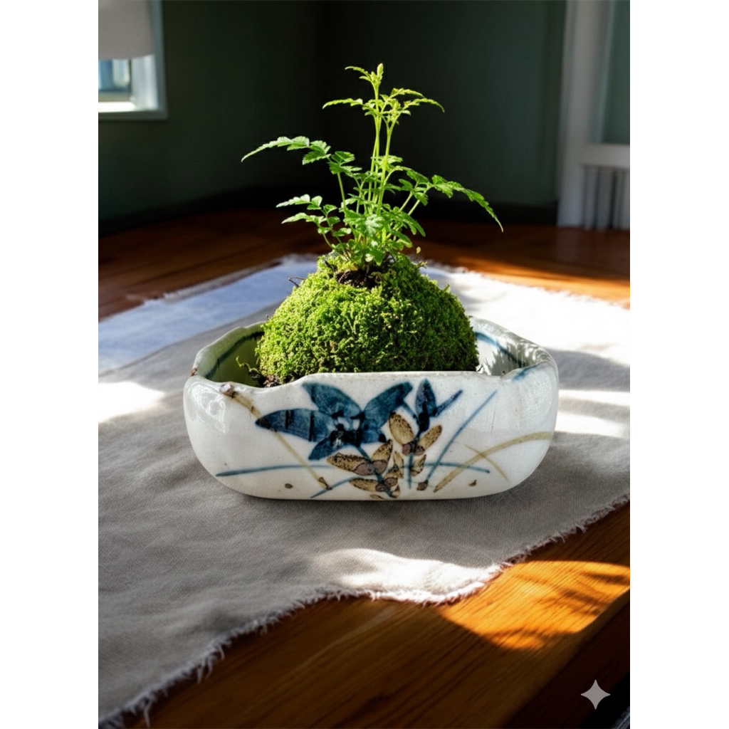 Bát cắm hoa ikebana, trồng kokedama / bonsai để bàn & decor bàn trà / bàn ăn